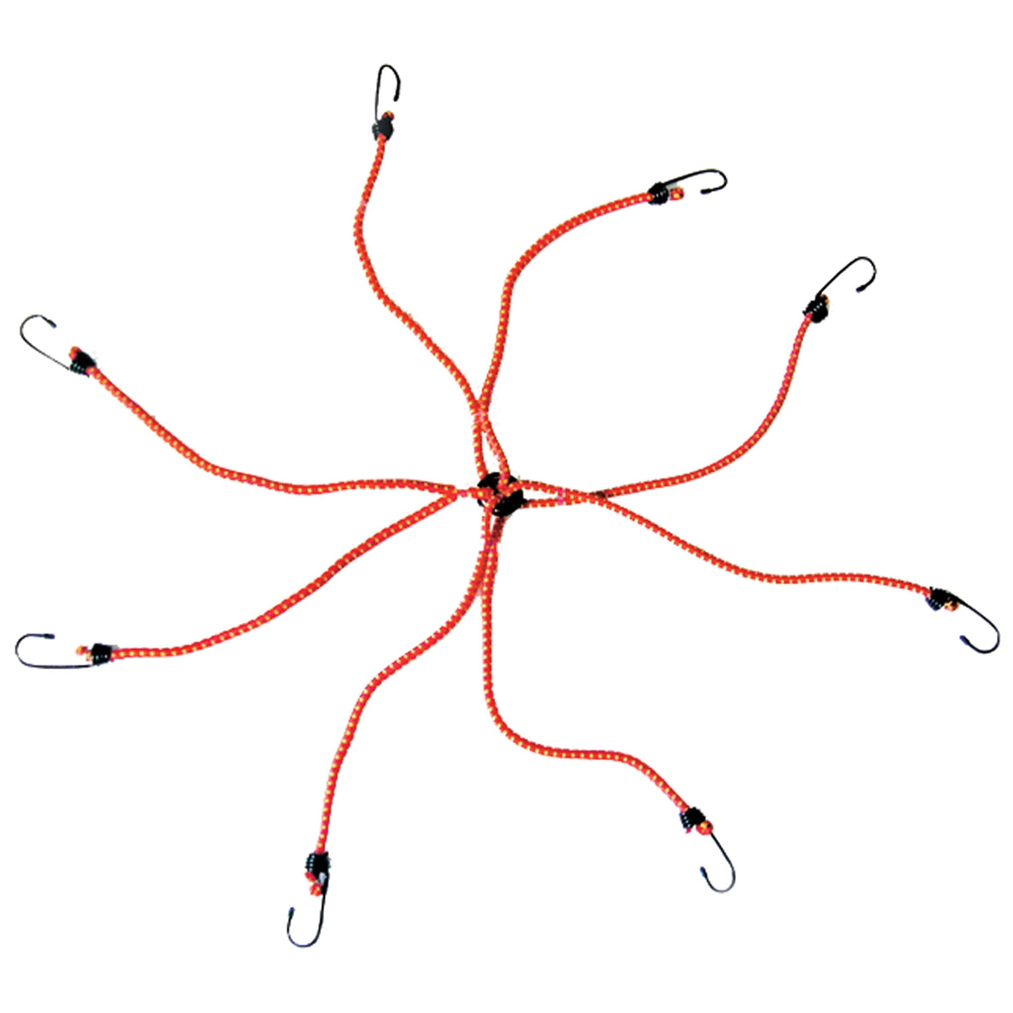 DAC ELASTIČNA VRV SPIDER 8 KAVLJEV
